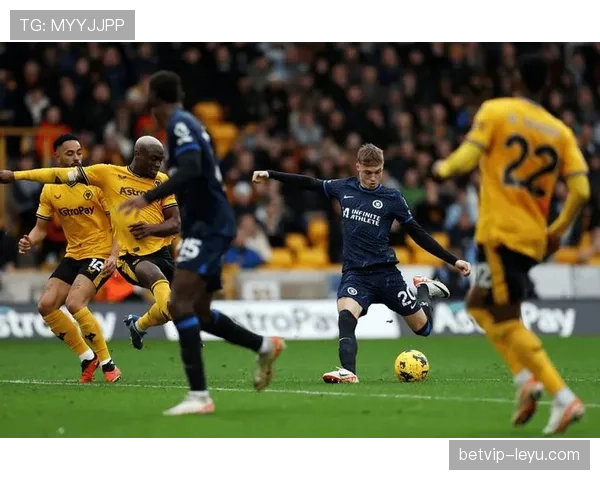 埃弗顿本赛季英超表现引关注：挑战与机遇并存