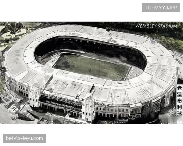 诺维奇金丝雀强势复苏,新赛季状态回暖重燃冲级希望 诺维奇金丝雀强势复苏,新赛季状态回暖重燃冲级希望