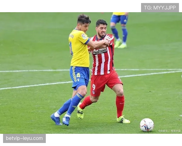 马竞球迷热情高涨,球队状态回升迎战强敌引关注 马竞球迷热情高涨,球队状态回升迎战强敌引关注