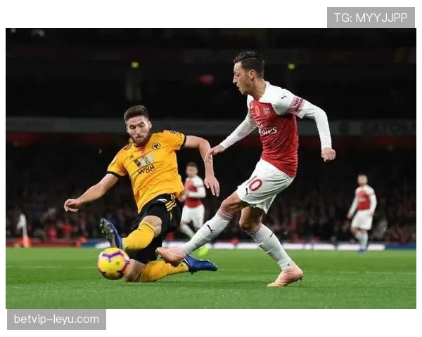 狼队新赛季阵容焕然一新，青春活力与老将经验共铸争胜之师