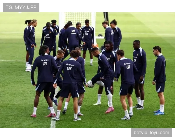 法国队内讧传闻引关注，欧洲杯备战阶段团队稳定性受考验