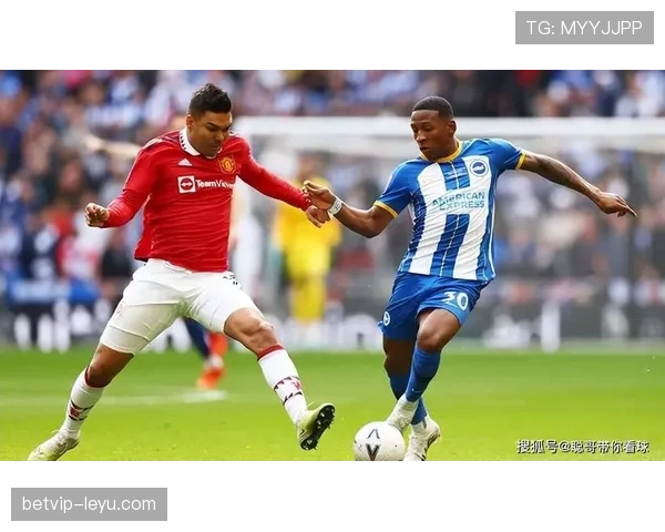 英超布莱顿保级战 英超布莱顿保级战